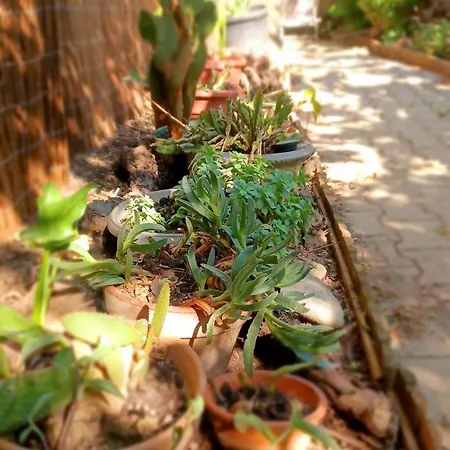 Family Eco Mas * La Redorte